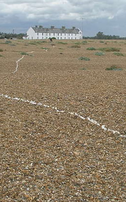 Image: pebble beach