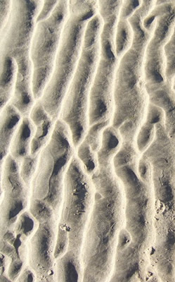 Image: sand